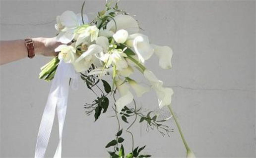 3月生肖与星座运势_2026年3月生肖星座双重运势