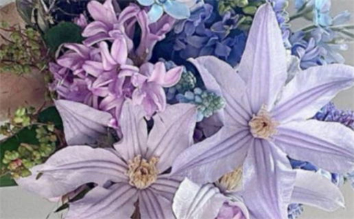 3月属鼠每日运_2026年3月15日属鼠运势