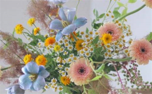 3月属蛇每日运势_3月1日属蛇运势