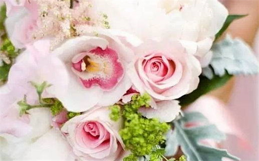 3月生肖运势最新_2026年3月生肖运势更新