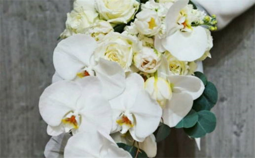 3月破土吉日查询_阴宅动土吉日