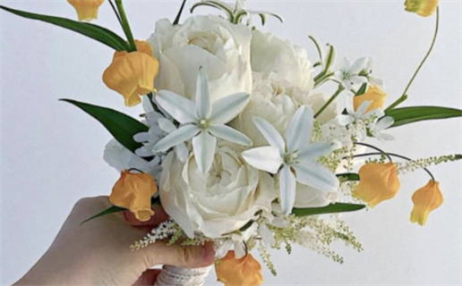 3月生肖与白羊座_2026年3月生肖白羊座运势