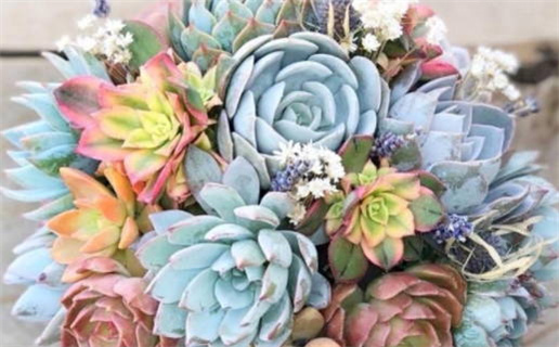 3月出生的姓陈男孩名字_姓陈的3月男宝宝取名