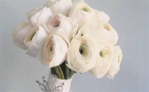 3月生肖起名_2026年3月出生的宝宝属什么怎么取名