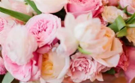 3月出生的姓赵女孩名字_姓赵的3月女宝宝取名