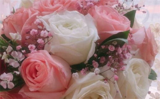 3月属鼠每日运_2026年3月27日属鼠运势