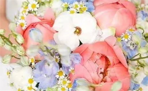 3月出生的宝宝名字带三才_3月宝宝名字三才配置