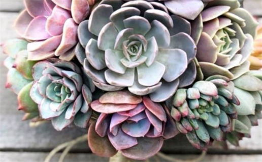 3月八字算命现代_现代八字算命