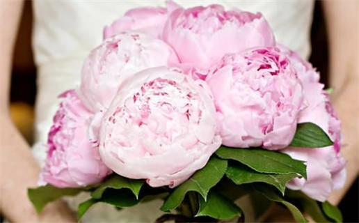 3月属龙周运势_2026年3月属龙每周运势