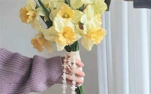 3月属鼠每日运_2026年3月12日属鼠运势