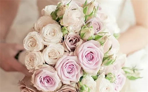 3月财运最好的生肖_2026年3月财运最旺的生肖