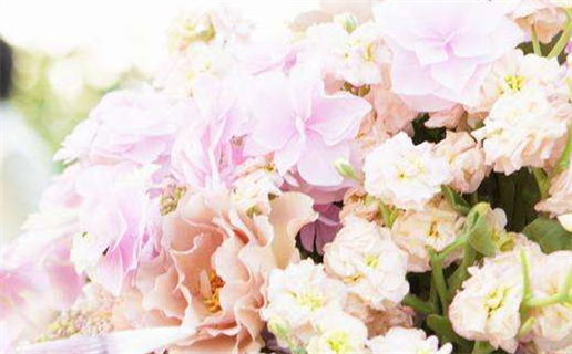 3月属牛姻缘_2026年3月属牛人姻缘分析