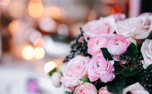 3月猪生肖运势_2026年3月属猪人运势