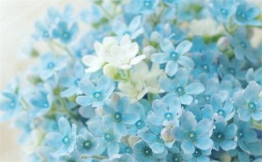 3月出生宝宝取名步骤_3月宝宝取名五步法