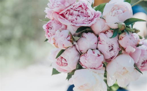 3月八字称骨财运_2026年3月称骨算命财运