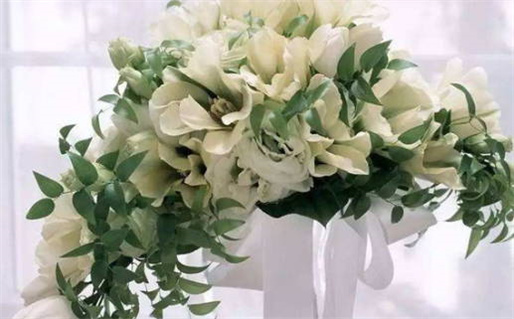 3月出生新生儿起名_2026年3月新生儿取名攻略