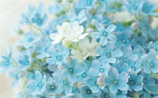 2026年3月5日黄道吉日_惊蛰节气宜忌查询