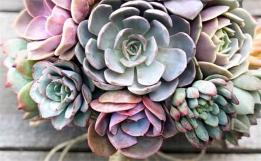 三月搬家吉日排名_本月搬家最佳日期