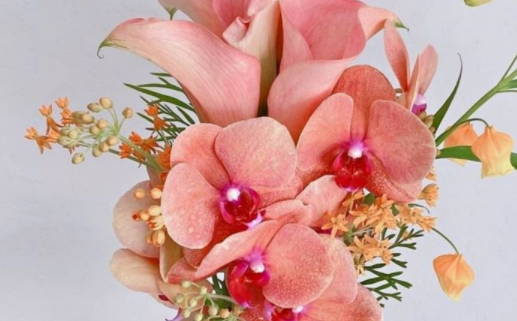 3月出生的姓郑男孩名字_姓郑的3月男宝宝取名